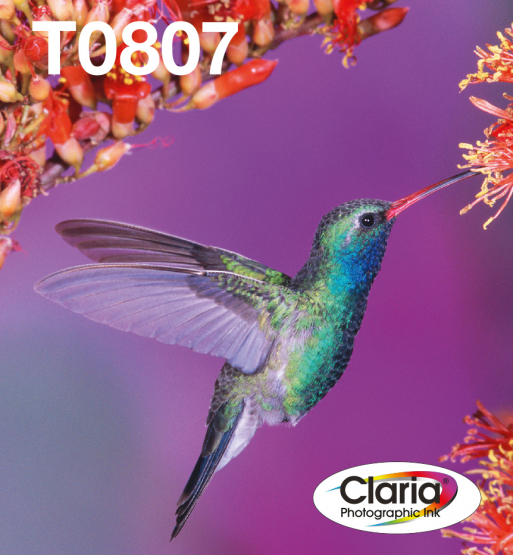 Epson T0807 (Hummingbird) Multi-Pack 6-colours - Claria Photographic Ink (EasyMail) (C13T08074510) 