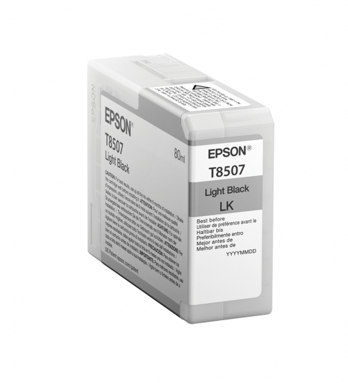 Epson Light Black Ink Cartridge (C13T850700) 