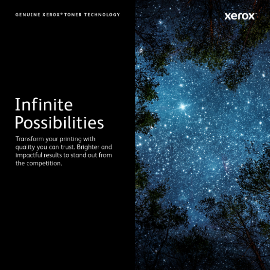 Xerox Phaser 6600 / WorkCentre 6605 Yellow Toner Cartridge- High Capacity (106R02231) 