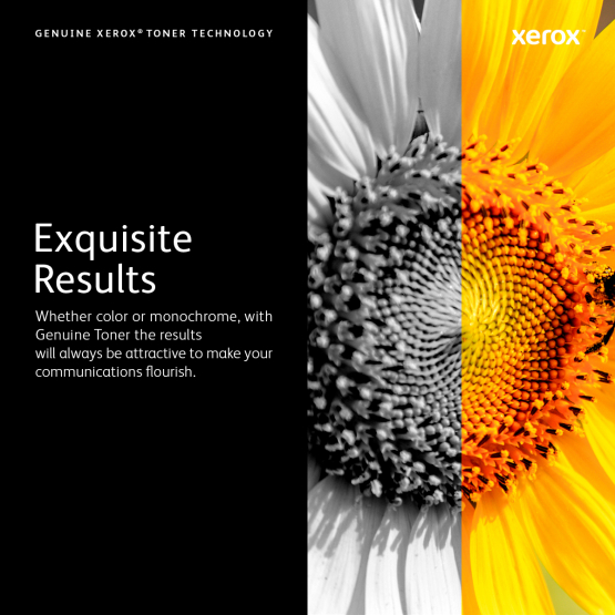 Xerox Phaser 3600 Black Toner Cartridge (106R01371) 