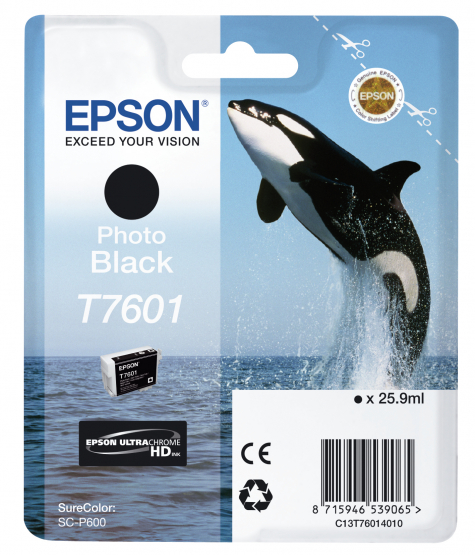 Epson T7601 (Whale) Photo Black Ink Cartridge (C13T76014010) 