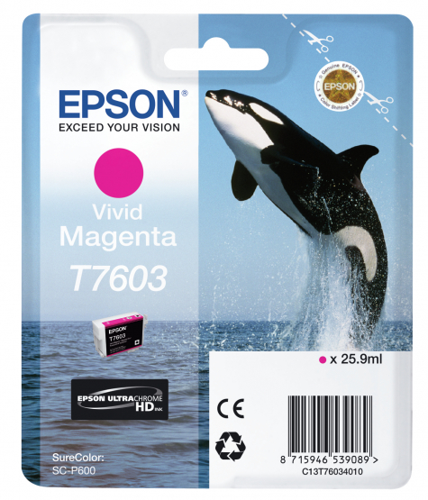 Epson T7603 (Whale) Magenta Ink Cartridge (C13T76034010) 