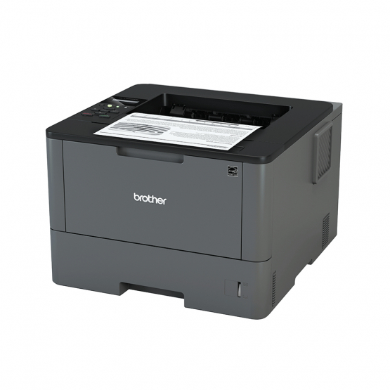 Brother HL-L5050DNВ Laser Printer (HLL5050DNU1) 