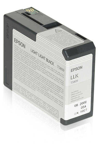 Epson Light Light Black Ink Cartridge (C13T580900) 