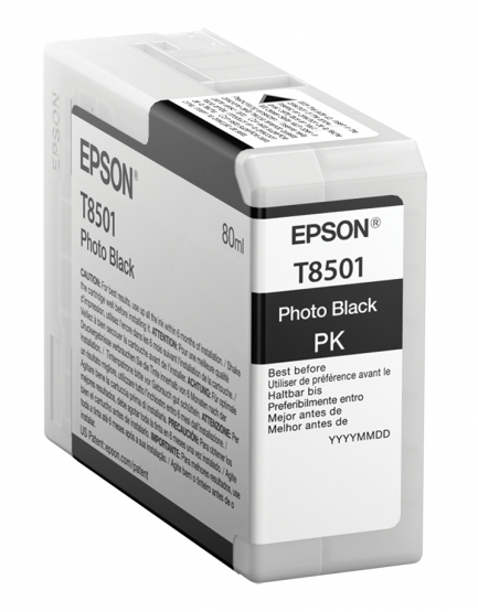 Epson Photo Black Ink Cartridge (C13T850100) 