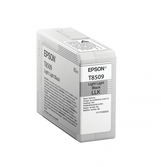 Epson Light Light Black Ink Cartridge (C13T850900) 