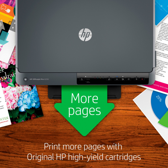 HP OfficeJet Pro 6230 Inkjet Printer (E3E03A#A81) 